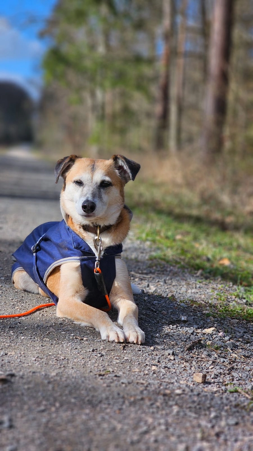 Selinas Rudelharmonie - Selina Gardow